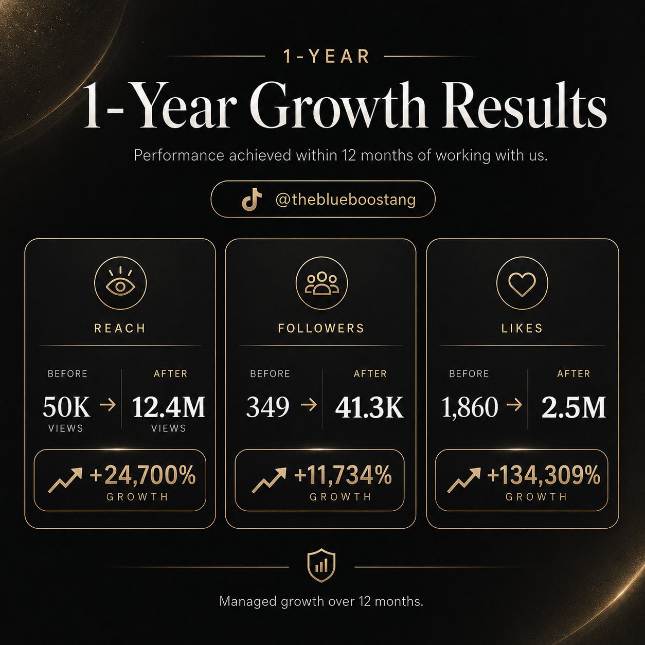 The Blue Boostang 1-year TikTok growth results: 50K to 12.4M views, 349 to 41.3K followers, 1,860 to 2.5M likes