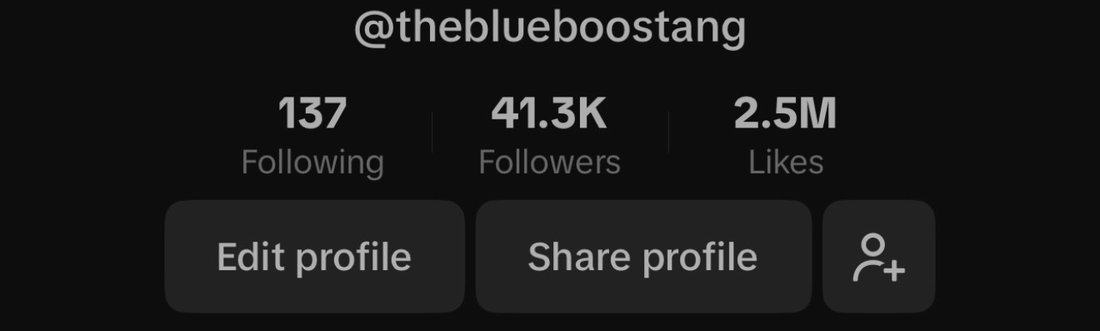 TikTok profile after: 41.3K followers, 2.5M likes