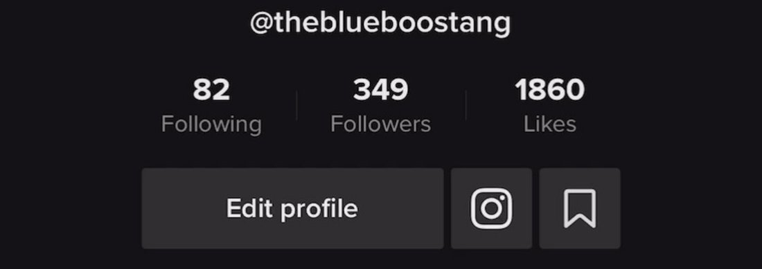 TikTok profile before: 349 followers, 1,860 likes